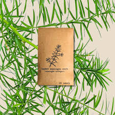 Image result for Asparagus schroederi