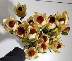We stock thousands of varieties of plants and can also do special orders upon request. Illinois Rockford Bill Doran Company Wholesale Florist Bulk Flowers Nationwide