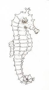 In this first simple step you will be drawing out the shape or frame of the seahorse. How To Draw And Paint A Seahorse Step By Step Craftsy