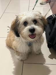 Was blessed by this angel I met in the mountains of Rapidan, Va