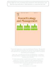 Image result for Synadenium pereskiifolium