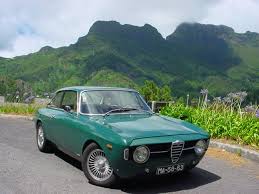 Image result for Verde Giannutri 2007 Alfa-Romeo