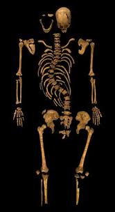 Three years later he was reburied in leicester cathedral. Dna Tests Richard Iii English History Richard 111