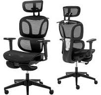 Hforesty Ergonomic Office Chair, High Back Mesh Computer Chair with  Footrest, Coat Hanger, Dynamic Lumbar Support,Black