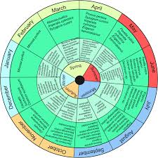 Image result for Pavetta sp. J