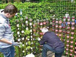 Vertical Garden Philippines Google Search Dollar Store Christmas Bottle Garden Kitchen Garden