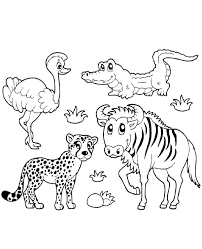 The book has pages on the lion, zebra, ostrich, rhino, elephant, giraffe, cheetah, chimp, and gorilla. African Animals Coloring Sheet For Toddlers