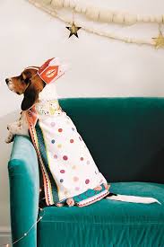 dogs pigs and other animals에 있는 maria jose 님의 핀 애견 동물