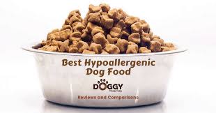 Best Hypoallergenic Dog Food For Uk Dog Owners 2020 Product Reviews
