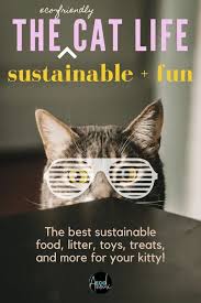 The Complete Guide To Sustainable Cat Care Eco Anouk In 2020 Cat Care Pet Care Cats Kitten Care