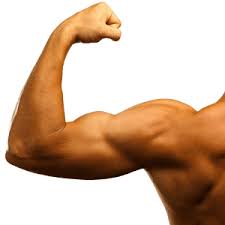 Bicep Augmentation In Pittsburgh Pa Dr James Fernau Bicep png & psd images with full transparency. usd