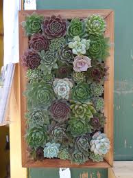 Most of the diy vertical garden ideas we've compiled here are as inexpensive as they are nice to look at. Diy Succulent Wall Tended