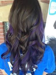 Image Result For Purple Streaks In Dark Brown Hair Hair Color For Black Hair Peekaboo Hair Biolage Hair