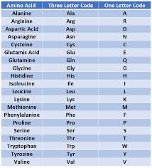 Pressure points notice the some parts of the body use two or three roots. Chapter 2 Protein Structure Chemistry