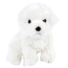 Maybe you would like to learn more about one of these? Pluschtier Hund Malteser Weiss Sitzend 27cm Teddys Rothenburg