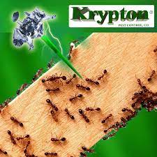 The closest termite exterminator in hialeah is jarre pest control inc, which is located at 180 w 52nd st, hialeah fl 33012. Krypton Pest Control 2215 W 78th St Hialeah Fl 33016 Yp Com