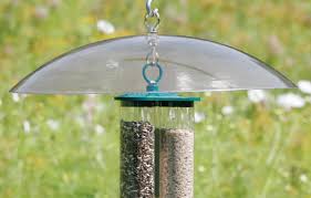 L want to keep squirrels from climbing up a tree.from which they jump onto bird feeders that hang from several branches. Top 10 Best Squirrel Baffles For 2021 Reviews Orbirds