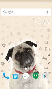 Check spelling or type a new query. Download Cute Pug Animated Keyboard Live Wallpaper On Pc Mac With Appkiwi Apk Downloader