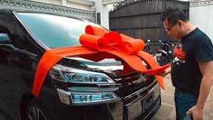 Bisa dibilang, ikan cupang kachen worachai merupakan jenis ikan cupang termahal di dunia. Ashanty Semringah Diberi Cupang Terbesar Di Dunia Oleh Anang Hermansyah