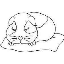 Free printable guinea pig coloring pages for kids that you can print out and color. Pin On Color Page