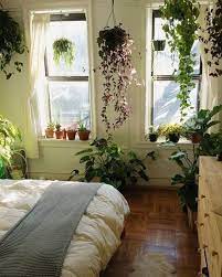 Plant Bedroom Interior Inspo Home Decor Home Bohemian Bedroom Decor