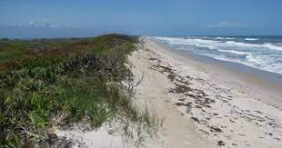 Playalinda Beach Titusville Florida Canaveral National Seashore Beautiful And A Great Place To Watch Playalinda Beach Beaches Near Orlando Florida Beaches