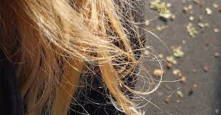 Since the roots are under your skin, dry scalp goes along with dry hair. Hair Feels Like Straw Causes And How To Treat