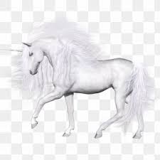 Closeup، بسبب، بني وبيج، رأس الحصان، تصوير زيتي، حصان. Horse Unicorn Png 1600x1600px Horse Fictional Character Horse Like Mammal Mane Mustang Horse Download Free
