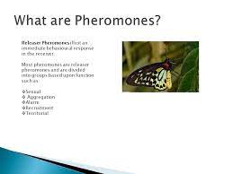 It is one form of attraction—annihilation — a more general method in which individuals of the targeted pest species are lured and killed. Pheromones And Insect Communication Ppt Download