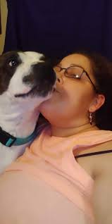 Black dog with white chest in Shreveport field