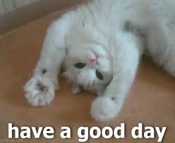 Image result for happy monday funny gifs