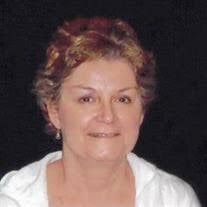Robin L. Schwarm Obituary