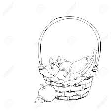 Learn how to draw fruits basket pictures using these 736x555 astounding design free coloring pages fruit basket printable. Fruit Basket Apple Orange Banana Hand Drawn Doodle Sketch Royalty Free Cliparts Vectors And Stock Illustration Image 57426069