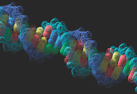 What is the most accurate dna test? Dna Casework Fbi