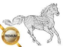 Klicke hier um dein ausmalbild pferde mandala als. Ausmalbilder Pferde Und Ponys Stute Fohlen Und Esel
