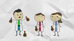 La equidad de género significa que tanto los hombres como las mujeres, tienen la misma posibilidad de goce del ejercicio pleno de sus derechos en la actualidad la incursión de la mujer latinoamericana en el mundo político y económico se ha ido incrementando, sin embargo se espera que para los. Equidad De Genero Youtube