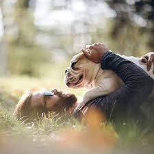 Our advice explores the definitions, symptoms and the language surrounding cancer can be confusing and definitions are difficult. How Long Can A Dog Live After Being Diagnosed With Cancer Cbd Oil For Dogs