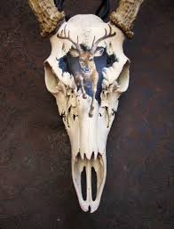 16 Ideas For Painting Animal Skulls Horns Deer Skull Art Painted Deer Skulls Painted Animal Skulls