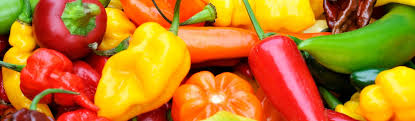 Spices herbs, gourmet mexican chillies, salt or pepper peppers, south american, spanish spices, spices. Spanish Pepper Www Natureandmore Com