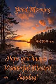 Good Morning Greetings Sunday Morning Quotes Good Morning Sunday Images Happy Sunday Morning