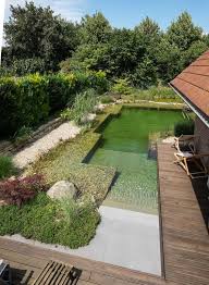 Pin By Ellie Page On Swimming Pool Ideas Natural Pool Natural Pond Swimming Pond