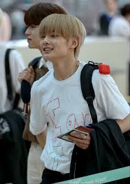 straykids skz jeongin in jeonginstraykids jeonginskz instraykids inskz stray kids seungmin kids fans felix stray kids