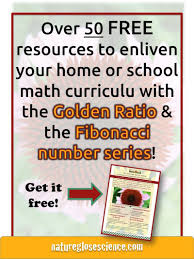 The Golden Ratio Fibonacci Sequence In Math Fibonacci For Kids Fibonacci Activities For Kids Phi Math Math For Kids Homeschool Math Teacher Favorite Things