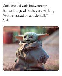Please take a moment to be warmed and humoured by memes of baby yoda, the real star of the mandalorian. Pin By Sabrina Hernandez On My Funnies Yoda Funny Yoda Meme Yoda Images