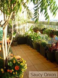 The Edible Balcony Book Edible Balcony Awash With Morning Sun Small Balcony Garden Apartment Balcony Garden Balcony Plants