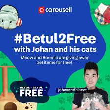 Kenzou greeted them like he always did when he sees them. Betul Betul Free With Johan And His Cats Community On Carousell