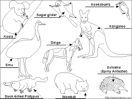 The australian outback features some remarkable animals: More Unique Australia Animals Http Australian Animals Net Australia Animals Australian Animals Animal Coloring Pages