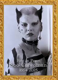 influence of lady's style