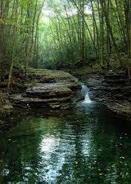 9 Best Sacgewea Images Lewis And Clark Sacagawea American Indians
