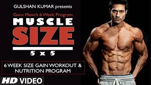 Size Gain Workout Program Overview Muscle Size 5x5 Program By Guru Mann Youtube
